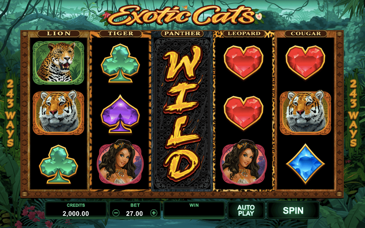 eotic cats microgaming